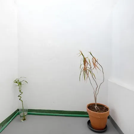 Casa Sol
